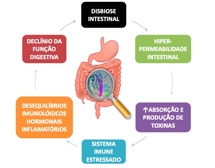 imagem-microbiota-intestinal